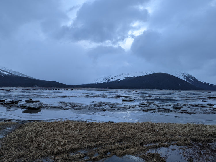 Near Seward Alaska